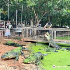 Malcolm Douglas Crocodile Park and Animal Refuge-布鲁姆