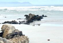 Voelklip Beach景点图片