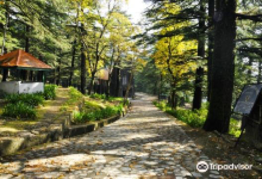 Church of St. John景点图片