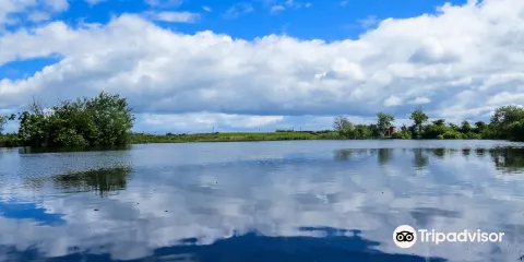 WWT Castle Espie Wetland Centre
