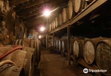 Mas Molla - Traditional Winery购物图片