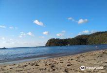 Playa Copal景点图片