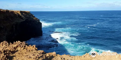 Petrified Forest and Blowholes