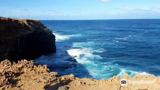 Petrified Forest and Blowholes