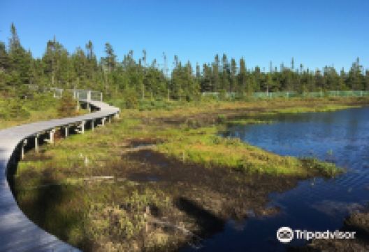 SalmonierIala Nature Park景点图片