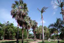 Dan Gleeson Memorial Gardens景点图片