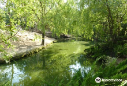Petit Paradis de Vendargues景点图片