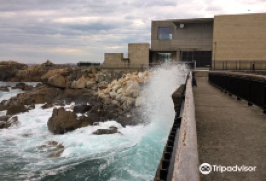 菲尼斯特拉埃水族馆景点图片