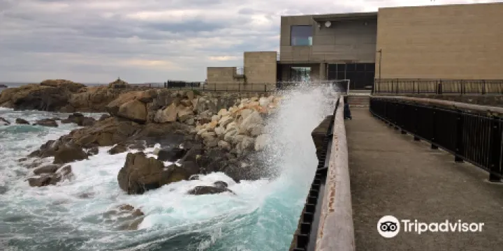 菲尼斯特拉埃水族館