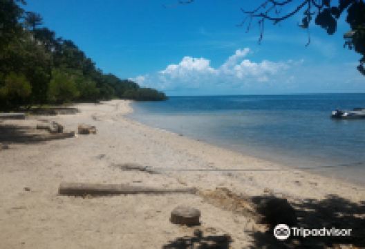 Bama Beach景点图片