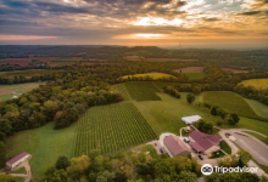 Noboleis Vineyards景点图片