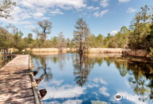 Old Santee Canal State Park景点图片