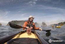 Kayak Trinidad购物图片