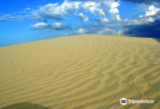 Rosado Beach景点图片