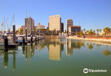 Corpus Christi Municipal Marina景点图片