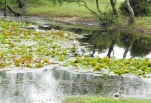 Hatchet Pond near Beaulieu景点图片