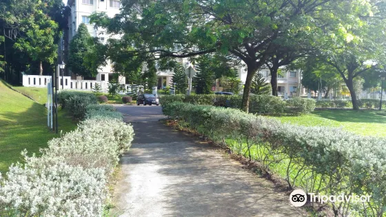 紹嘉納綠色公園