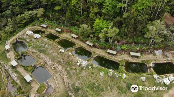 Parque Ribeira Primeira