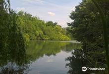 Black Dam Ponds景点图片