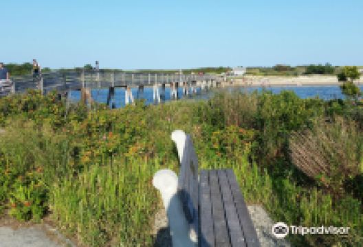 Footbridge Beach景点图片