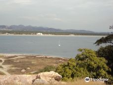 Isla de Los Chivos-马萨特兰