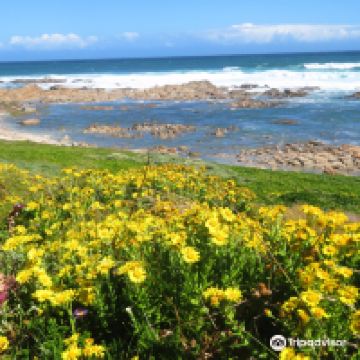 圣弗朗西斯角图片