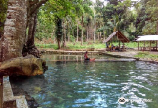 Lonoy Cold Spring景点图片