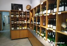 Winzergenossenschaft Kallstadt景点图片