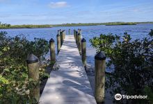 Myakka State Forest景点图片