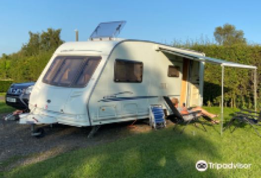 Charity Farm景点图片