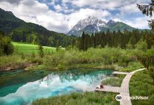 Zelenci Nature Reserve景点图片