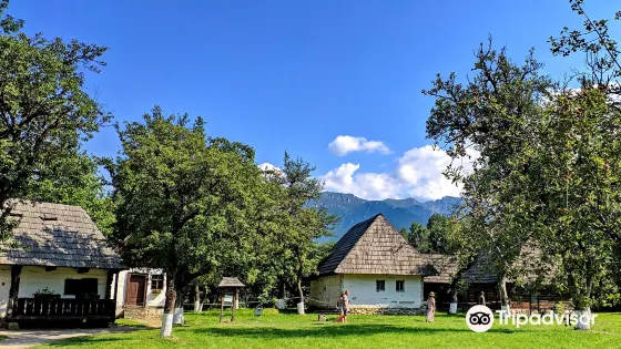 Bran Village Museum