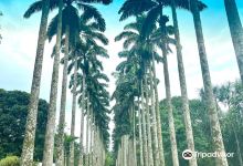 Aburi Botanical Gardens & Park | TortoisePath.com景点图片