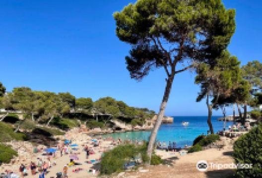 Cala Esmeralda Beach景点图片
