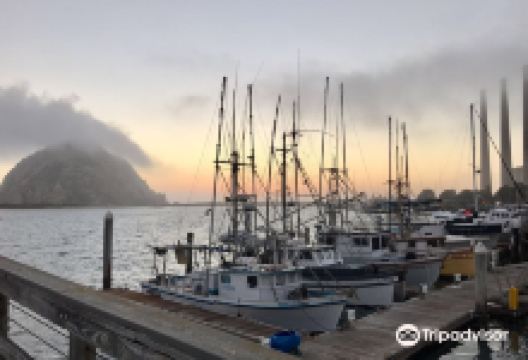 Anchor Memorial Park景点图片