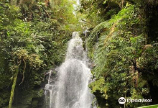 Refugio de Vida Silvestre Cerro Dantas景点图片