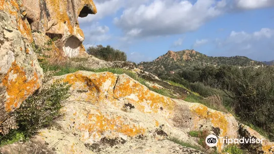 Necropoli di Partulesi