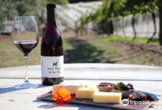 Every Man and His Dog Vineyard景点图片