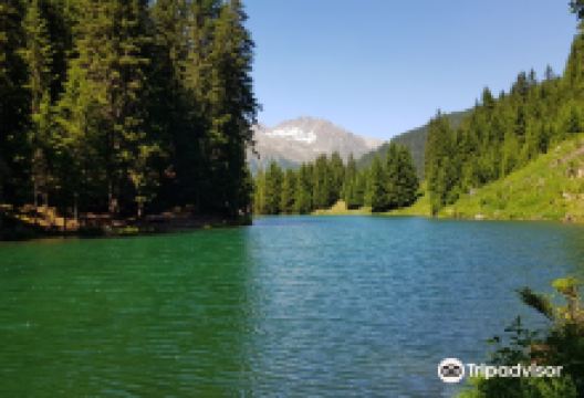 Schwarzwassersee景点图片