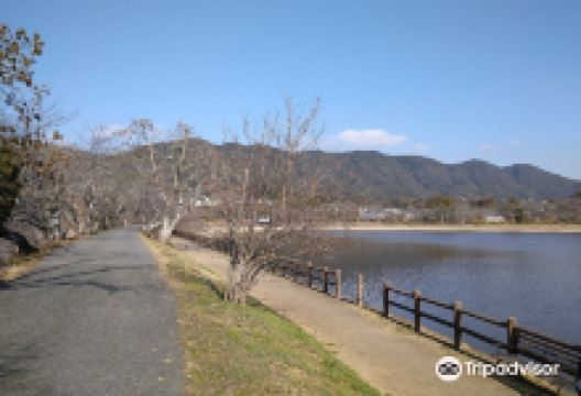 Tachioka Nature Park景点图片
