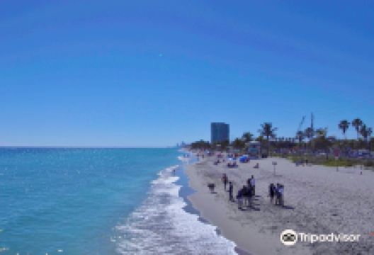 Dania Beach景点图片