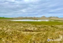 RSPB Scotland Loch of Strathbeg nature reserve景点图片