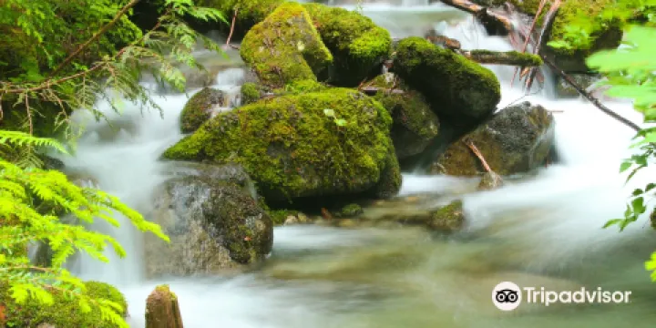 Chilliwack Lake Provincial Park