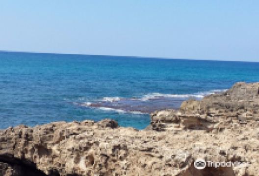 HaBonim Beach景点图片