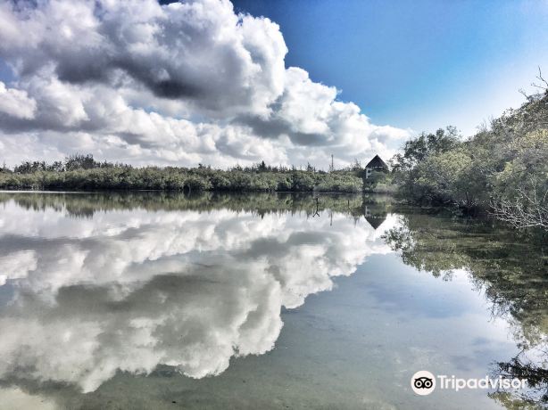 Prawn's Lake Conservation project