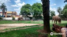 Parque Zoologico Municipal Quinzinho De Barros-索罗加巴