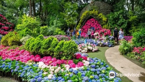Hua Lou Farm