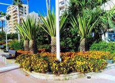 Paseo Maritimo de Estepona-埃斯特波纳