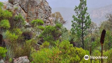Warren Gorge