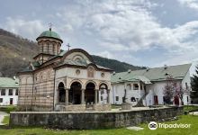 "Cozia" Monastery景点图片